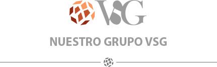 Grupo VSG